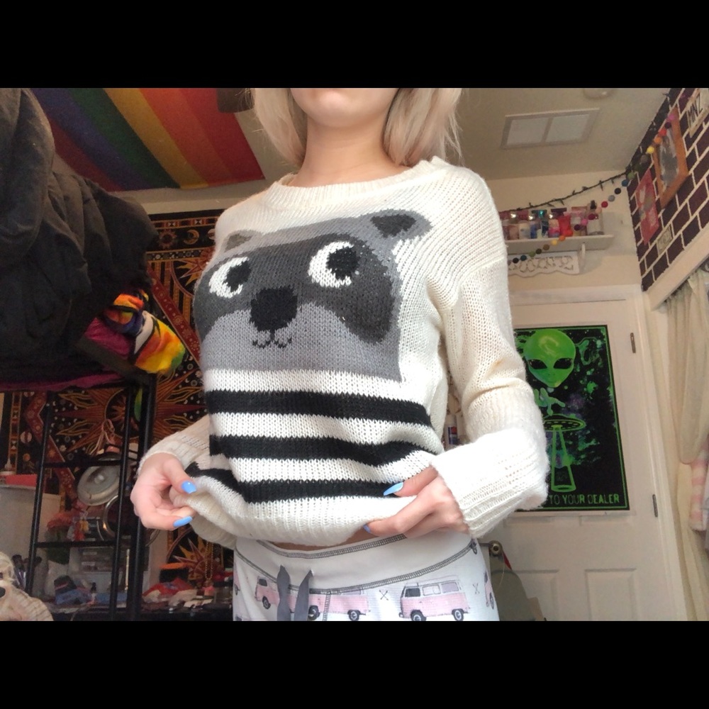 Raccoon Knit Sweater